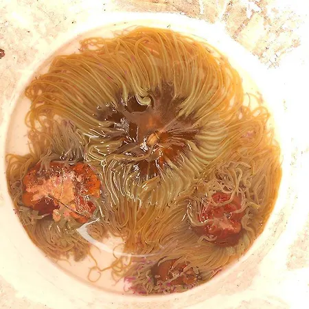 Il Laghetto ゲストハウス